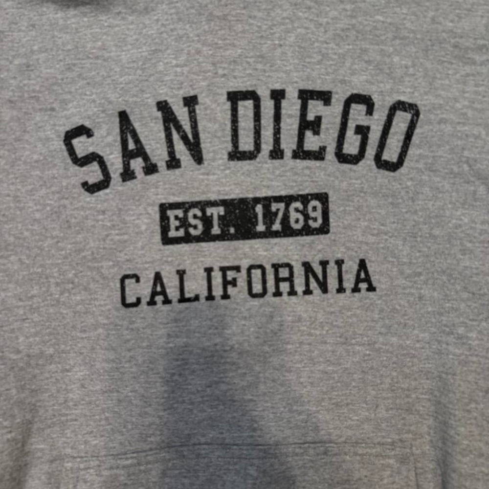 Vintage Grey San Diego hoodie MEN SIZE‎ L - Picture 2 of 4